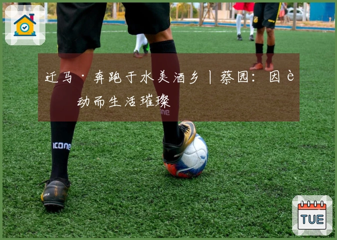 迁马·奔跑于水美酒乡丨蔡园：因运动而生活璀璨